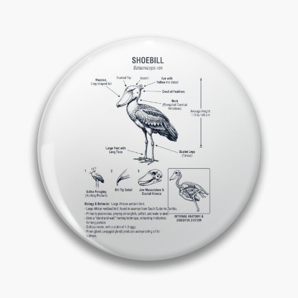 Item preview, Shoebill African Scientific Anatomy Ornithology Bird Birding Lover designed and sold by dian-rody-crest.