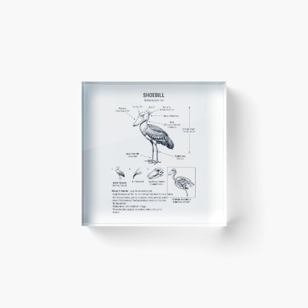 Item preview, Shoebill African Scientific Anatomy Ornithology Bird Birding Lover designed and sold by dian-rody-crest.