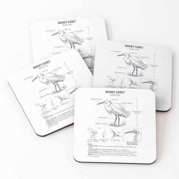 Item preview, Snowy Egret Scientific Anatomy Ornithology Bird Birding Lover designed and sold by dian-rody-crest.