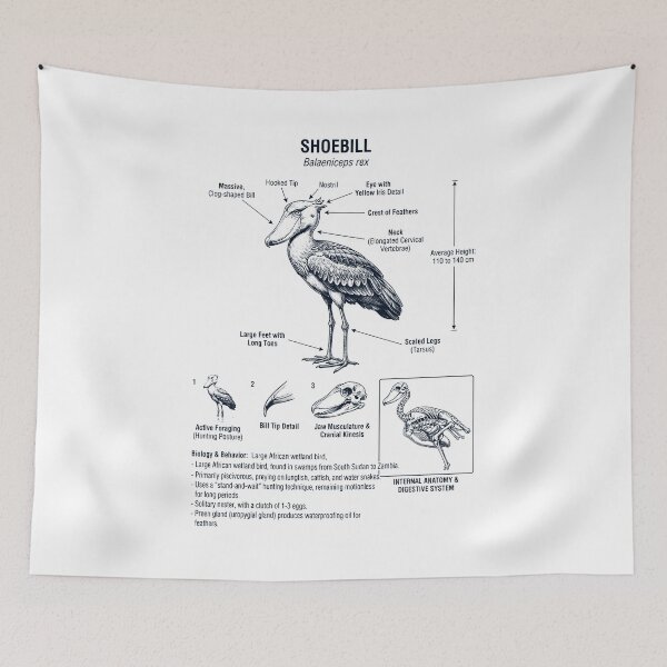 Item preview, Shoebill African Scientific Anatomy Ornithology Bird Birding Lover designed and sold by dian-rody-crest.