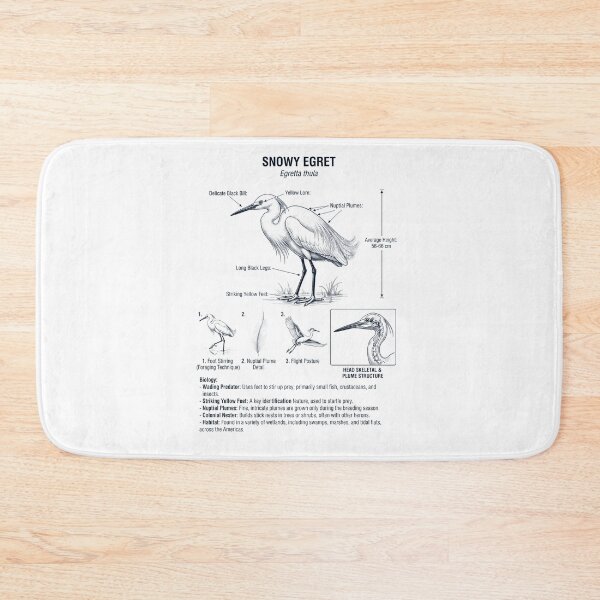 Item preview, Snowy Egret Scientific Anatomy Ornithology Bird Birding Lover designed and sold by dian-rody-crest.
