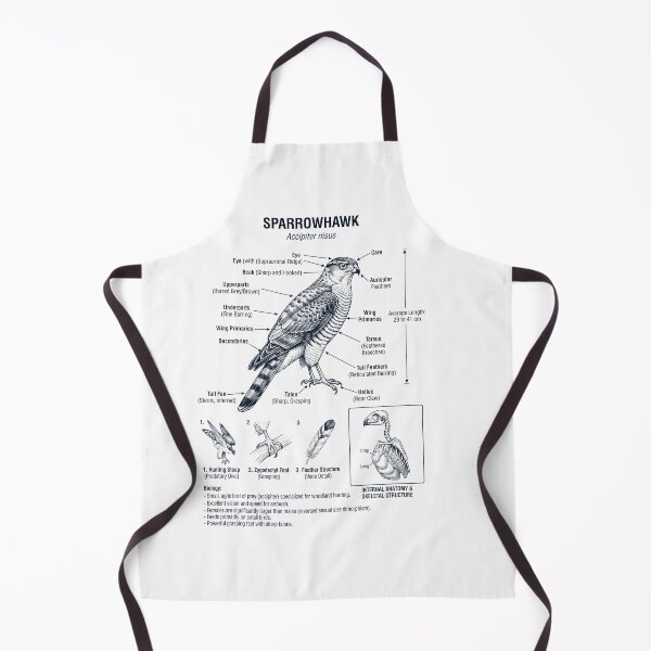 Artikelvorschau, Sperber – Wissenschaftliche Anatomie, Ornithologie, Vogelbeobachtung, Vogelliebhaber entworfen und verkauft von dian-rody-crest.