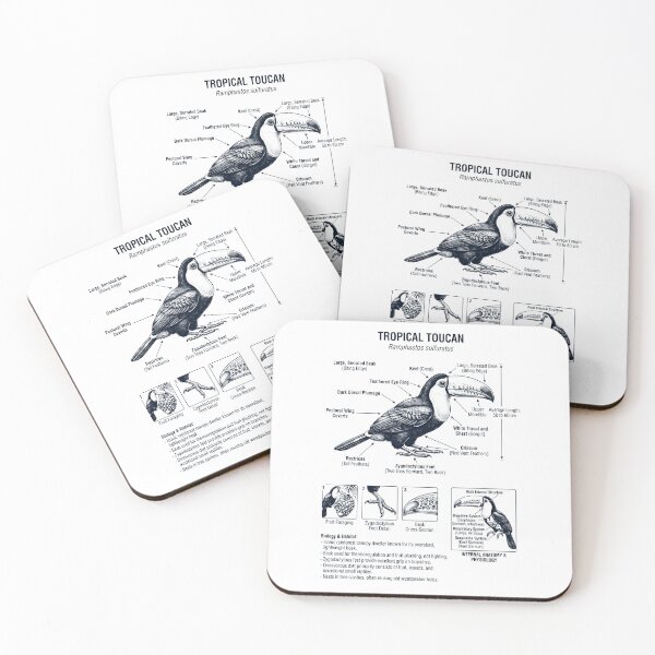 Item preview, Tropical Toucan Scientific Anatomy Ornithology Bird Birding Lover designed and sold by dian-rody-crest.