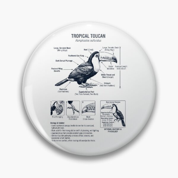 Item preview, Tropical Toucan Scientific Anatomy Ornithology Bird Birding Lover designed and sold by dian-rody-crest.