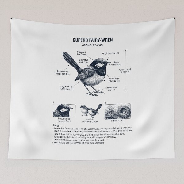 Item preview, Superb Fairy wren Scientific Anatomy Ornithology Bird Birding Lover designed and sold by dian-rody-crest.