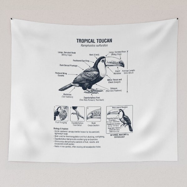 Item preview, Tropical Toucan Scientific Anatomy Ornithology Bird Birding Lover designed and sold by dian-rody-crest.
