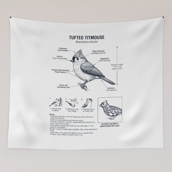 Item preview, Tufted Titmouse Scientific Anatomy Ornithology Bird Birding Lover designed and sold by dian-rody-crest.