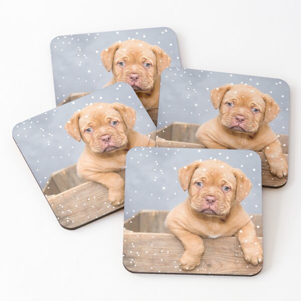 Item preview, Puppy in a box designed and sold by Dany and Dom.