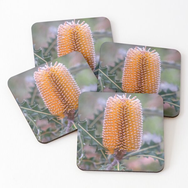 Item preview, Ashby's Orange Banksia Photography – Fine Art Canvas Print designed and sold by MinzMarchStudio.