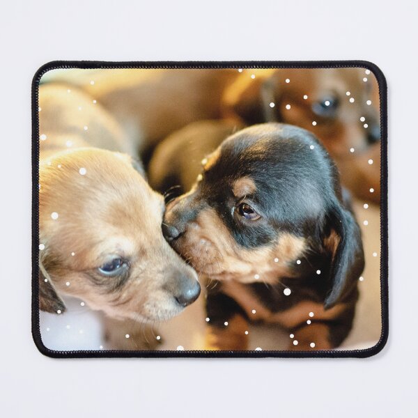 Item preview, Puppy puppies and snowflakes designed and sold by Dany and Dom.