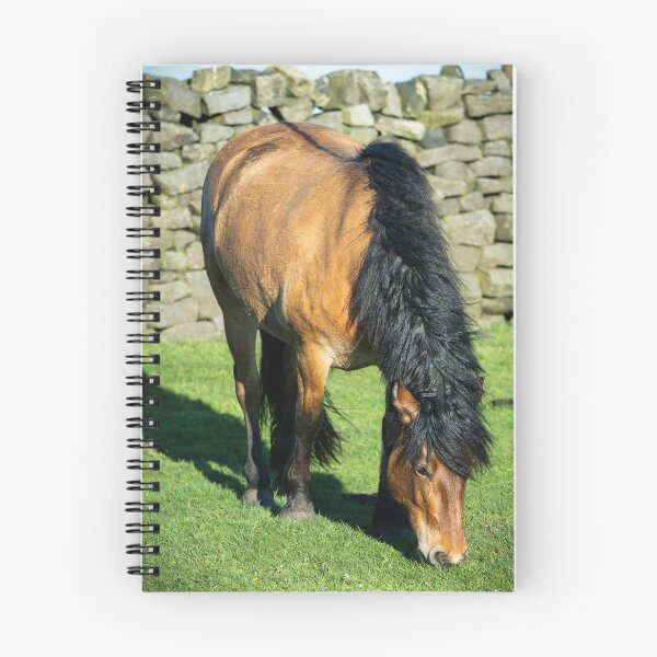 Item preview, Dun coloured pony designed and sold by Stephen Jarman.
