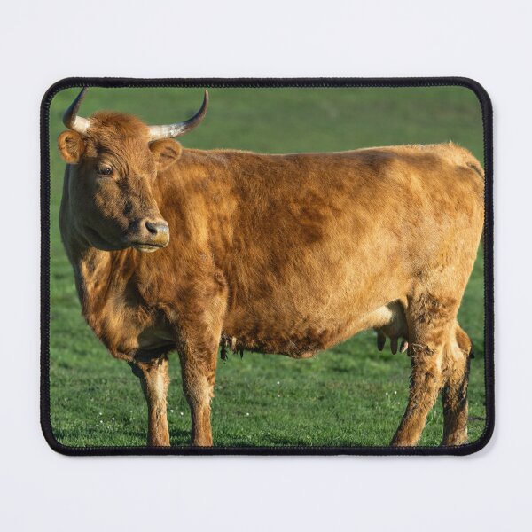 Item preview, Rustic brown cow designed and sold by Stephen Jarman.