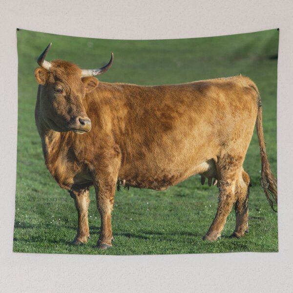 Item preview, Rustic brown cow designed and sold by Stephen Jarman.