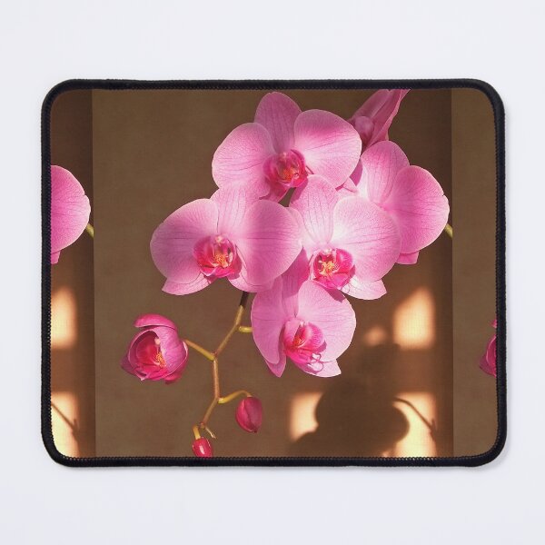Item preview, Sunlit Pink Orchid Branch with Shadows designed and sold by pinkal.