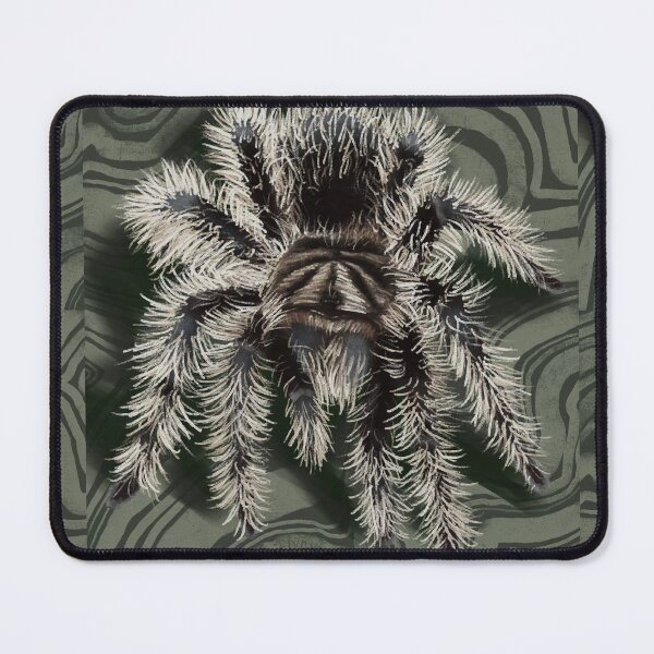 Item preview, Tarantula Design designed and sold by kaitlynyaru.art.