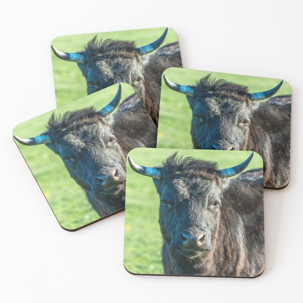 Item preview, Shaggy black highland cow designed and sold by Stephen Jarman.