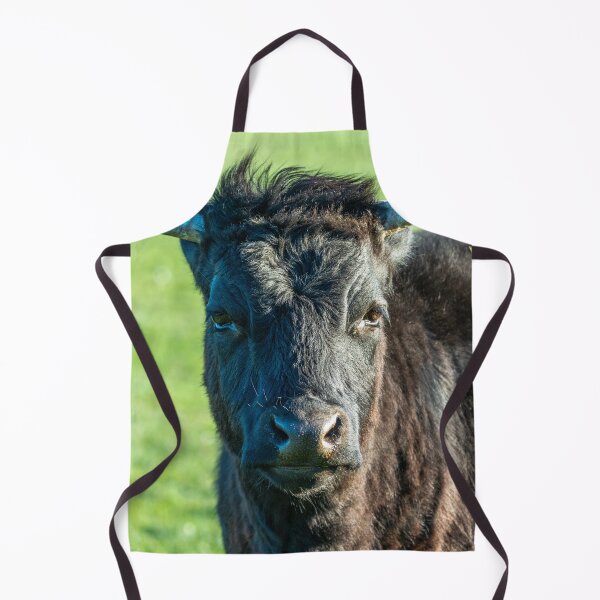 Item preview, Shaggy black highland cow designed and sold by Stephen Jarman.