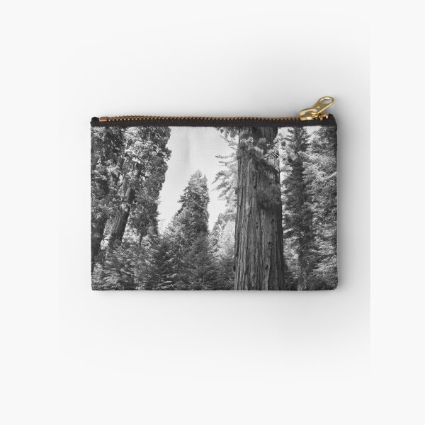 Item preview, California Redwoods, Giant Sequoia tree and forest landscape fine art black and white photograph designed and sold by Astrid Arkhangelsky.