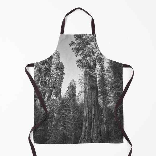 Item preview, California Redwoods, Giant Sequoia tree and forest landscape fine art black and white photograph designed and sold by Astrid Arkhangelsky.