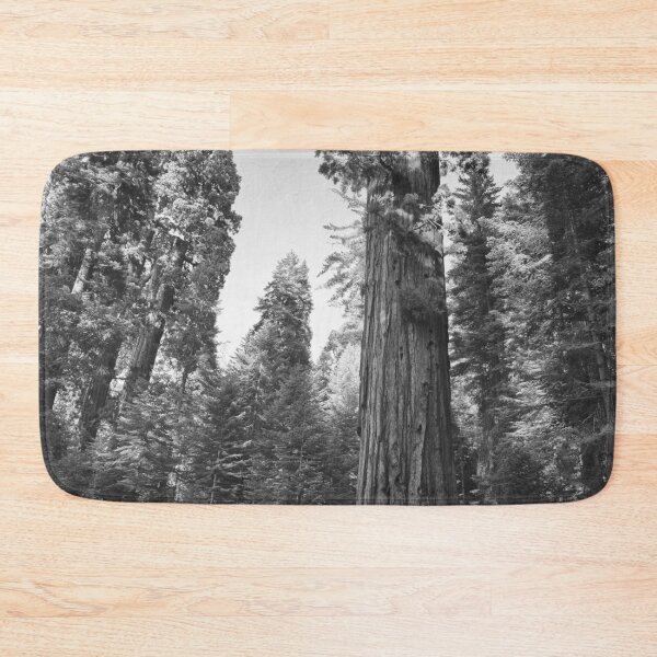 Item preview, California Redwoods, Giant Sequoia tree and forest landscape fine art black and white photograph designed and sold by Astrid Arkhangelsky.