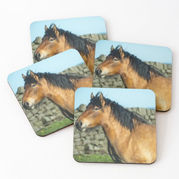 Item preview, Brown and black pony designed and sold by Stephen Jarman.
