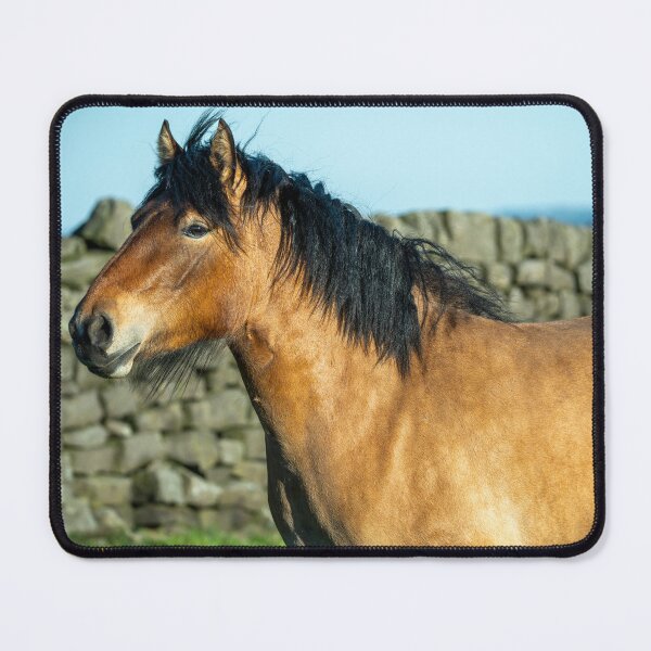 Item preview, Brown and black pony designed and sold by Stephen Jarman.