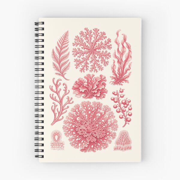Item preview, Ernst Haeckel Inspired Red Algae Seaweed Marine Biology designed and sold by JackCurtis1991.