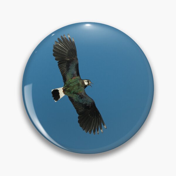 Item preview, Northern lapwing designed and sold by Stephen Jarman.