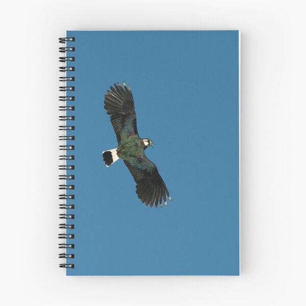 Item preview, Northern lapwing designed and sold by Stephen Jarman.