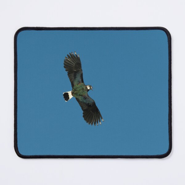 Item preview, Northern lapwing designed and sold by Stephen Jarman.