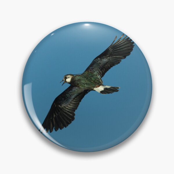Item preview, Northern lapwing designed and sold by Stephen Jarman.