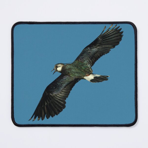 Item preview, Northern lapwing designed and sold by Stephen Jarman.