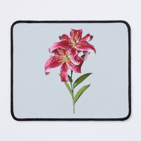 Item preview, Pair of Stargazer Lilies designed and sold by Susan Savad.