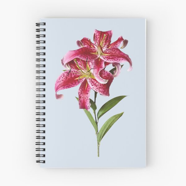 Item preview, Pair of Stargazer Lilies designed and sold by Susan Savad.