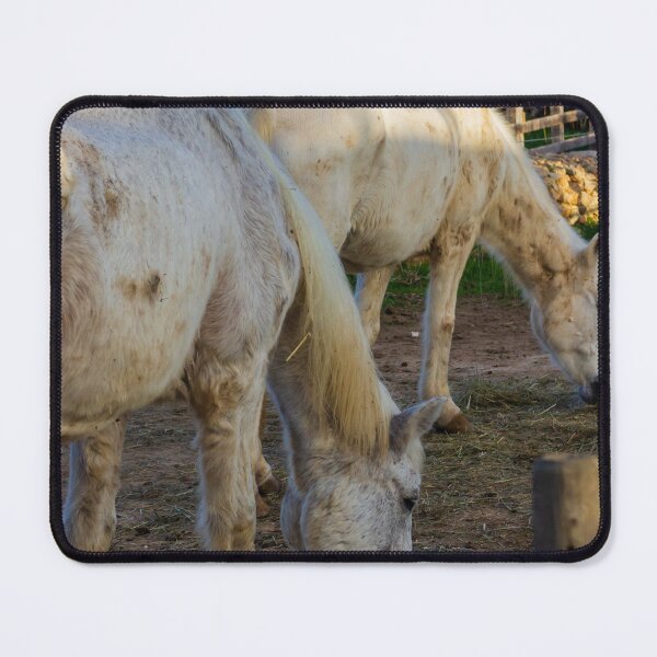 Item preview, White Horses Grazing In Rustic Farm Paddock At Sunset With Wooden Fence And Stable designed and sold by Nmallia.
