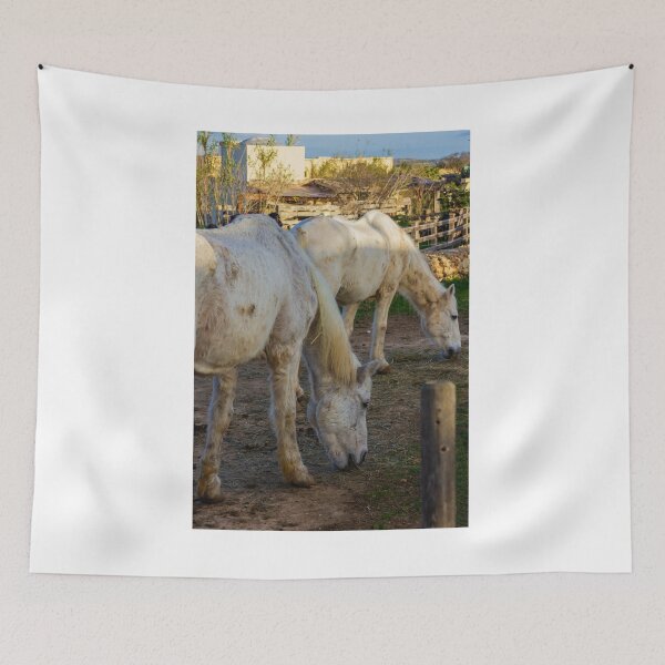 Item preview, White Horses Grazing In Rustic Farm Paddock At Sunset With Wooden Fence And Stable designed and sold by Nmallia.