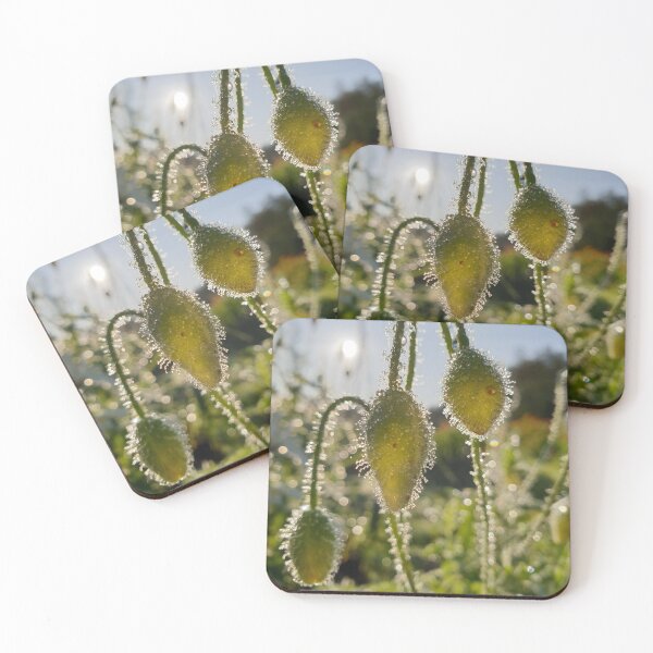 Item preview, Flower Buds at Morning designed and sold by CalmnessbyChoice.