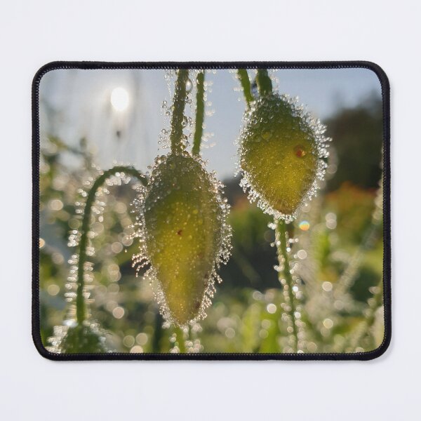 Item preview, Flower Buds at Morning designed and sold by CalmnessbyChoice.