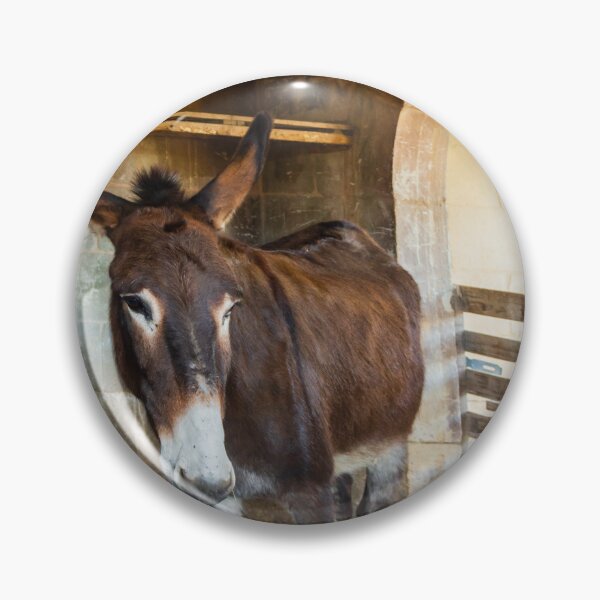 Item preview, Brown Donkey Standing in Rustic Barn Stall With Wooden Fence and Arched Stone Wall designed and sold by Nmallia.