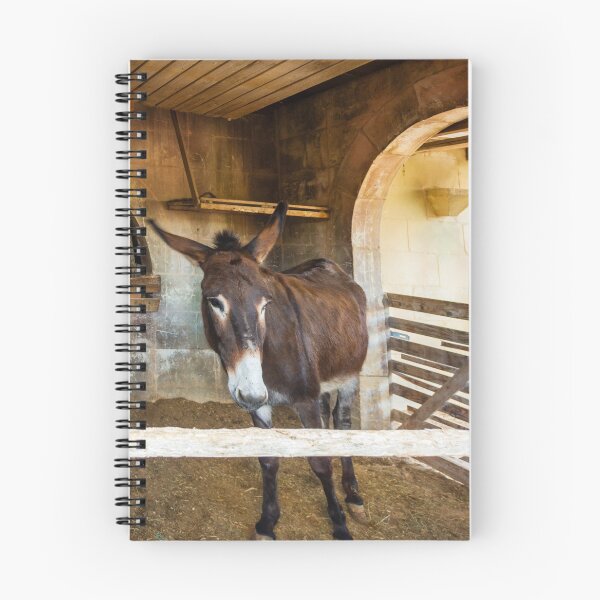 Item preview, Brown Donkey Standing in Rustic Barn Stall With Wooden Fence and Arched Stone Wall designed and sold by Nmallia.