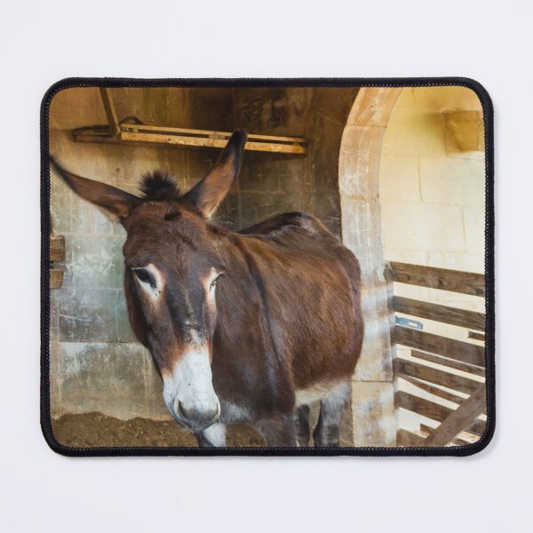 Item preview, Brown Donkey Standing in Rustic Barn Stall With Wooden Fence and Arched Stone Wall designed and sold by Nmallia.