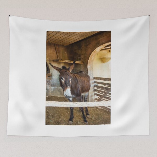 Item preview, Brown Donkey Standing in Rustic Barn Stall With Wooden Fence and Arched Stone Wall designed and sold by Nmallia.