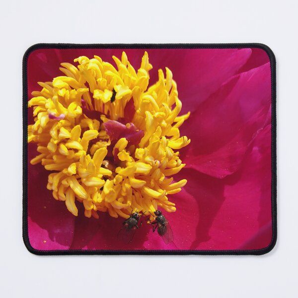 Item preview, Two Flies on a Flower designed and sold by CalmnessbyChoice.