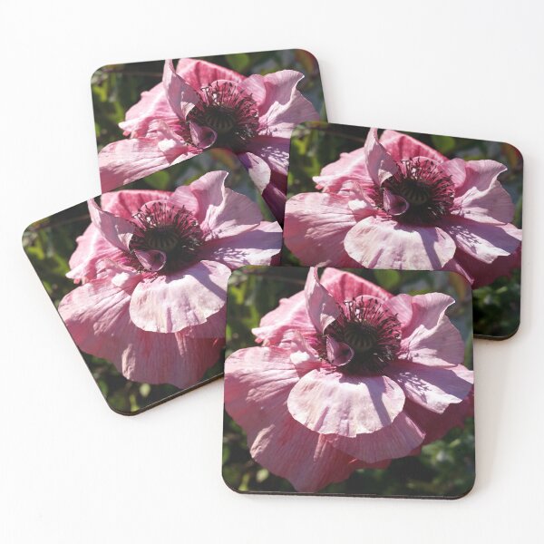 Item preview, Pink Flower in Sunlight designed and sold by CalmnessbyChoice.