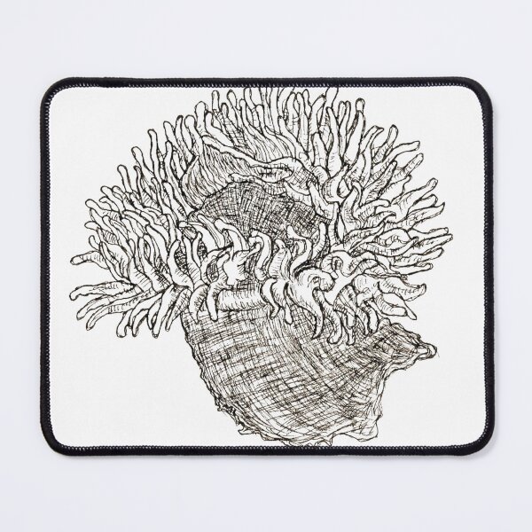 Item preview, Anemone in Bloom designed and sold by MatildaLockwood.