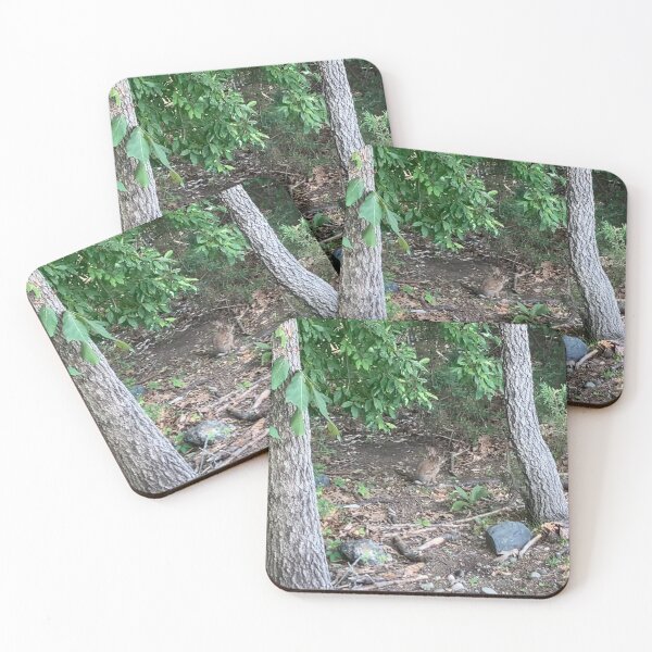 Item preview, Bunny Hiding in Plain Sight  designed and sold by Amanda1775.