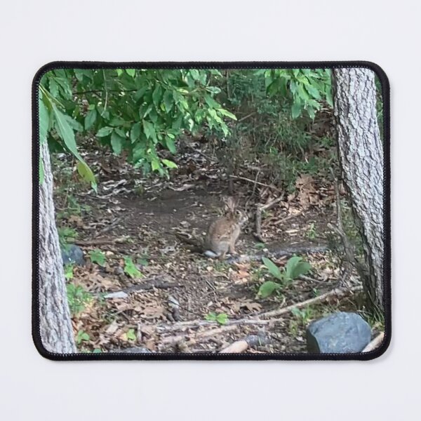 Item preview, Bunny Hiding in Plain Sight designed and sold by Amanda1775.