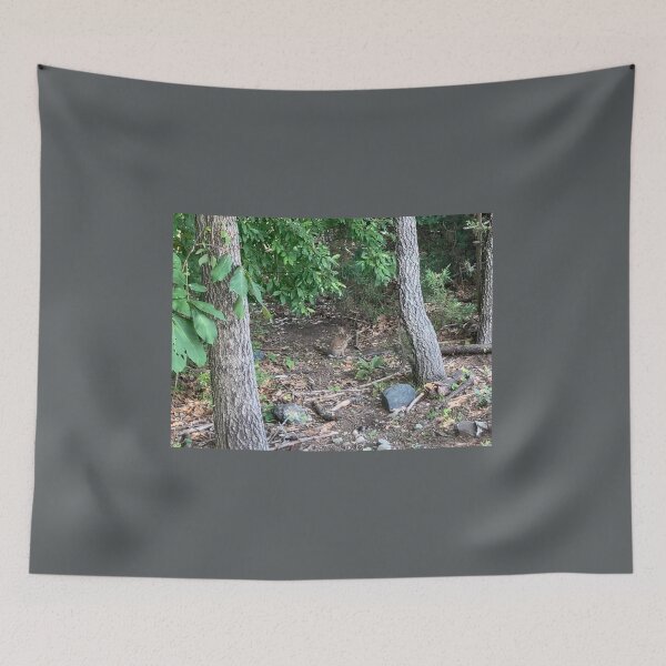 Item preview, Bunny Hiding in Plain Sight  designed and sold by Amanda1775.