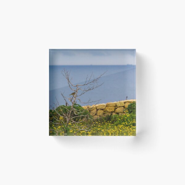 Item preview, Lonely Bare Tree With Small Bird by Stone Wall Overlooking Calm Sea and Wildflower Coastline designed and sold by Nmallia.