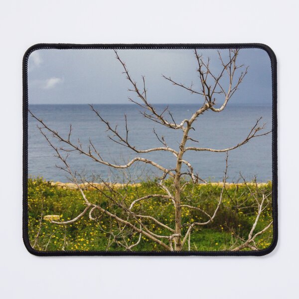 Item preview, Lonely Bare Tree With Small Bird by Stone Wall Overlooking Calm Sea and Wildflower Coastline designed and sold by Nmallia.